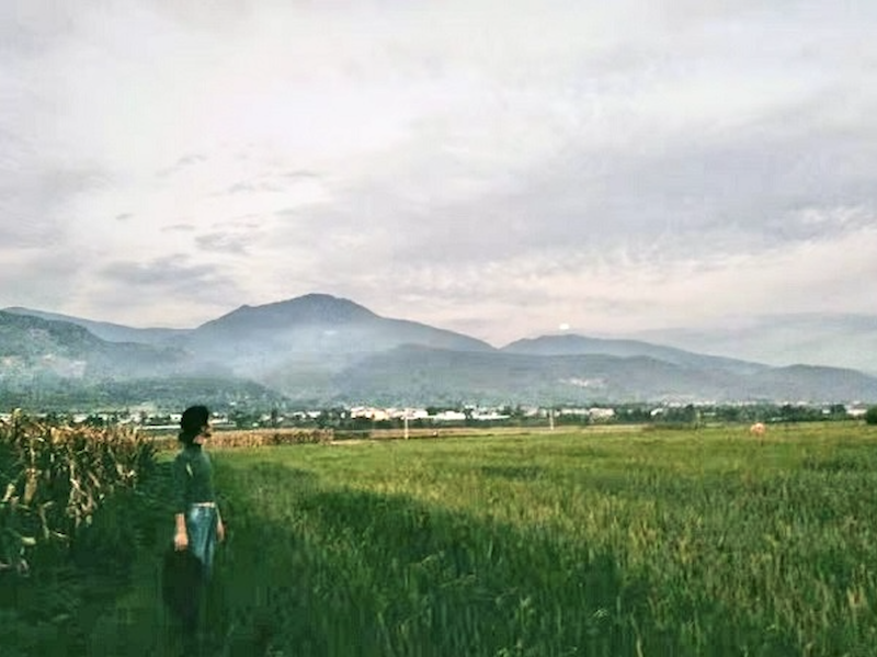 昨天这个城市下雪了